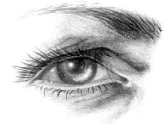 Learn The Secret of How To Develop Your Artist s Eye And Draw Better Immediately By Cindy Wider - DrawPJ.