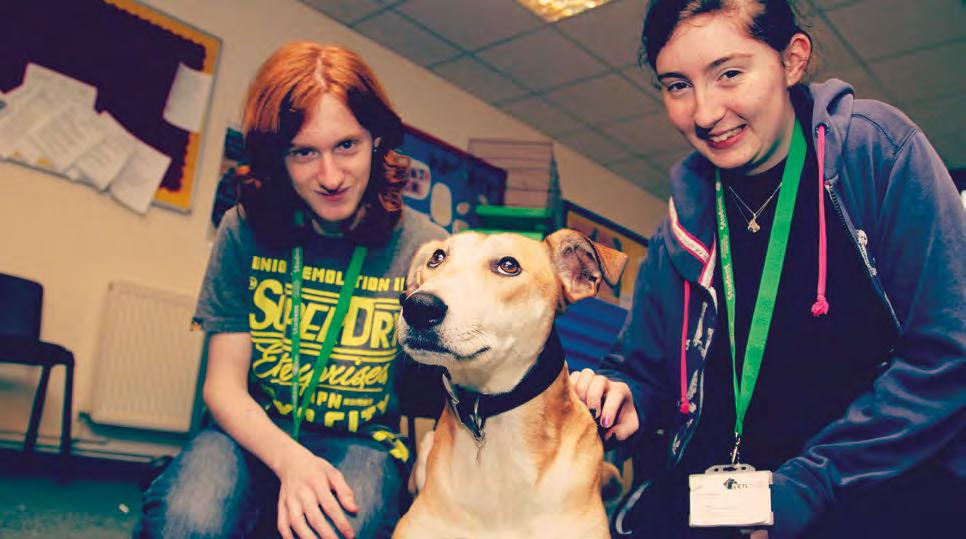 INTRODUCTION TO ANIMAL CARE LEVEL 1-1 YEAR: NCN BASFORD HALL CAMPUS Perfect if you love animals and want to understand how to ensure they are well looked after and cared for.