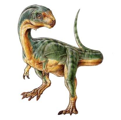 In 2004 the remains of a very important new dinosaur was discovered by a seven-year-old South American boy called Diego Suarez.