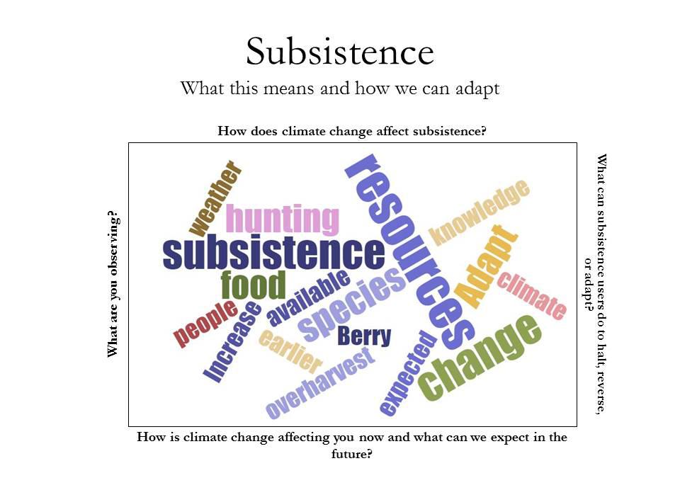 Below are some comments during the break-out session to discuss climate change effects on Subsistence: Climate change could affect the health of the species we subside on We are losing animals