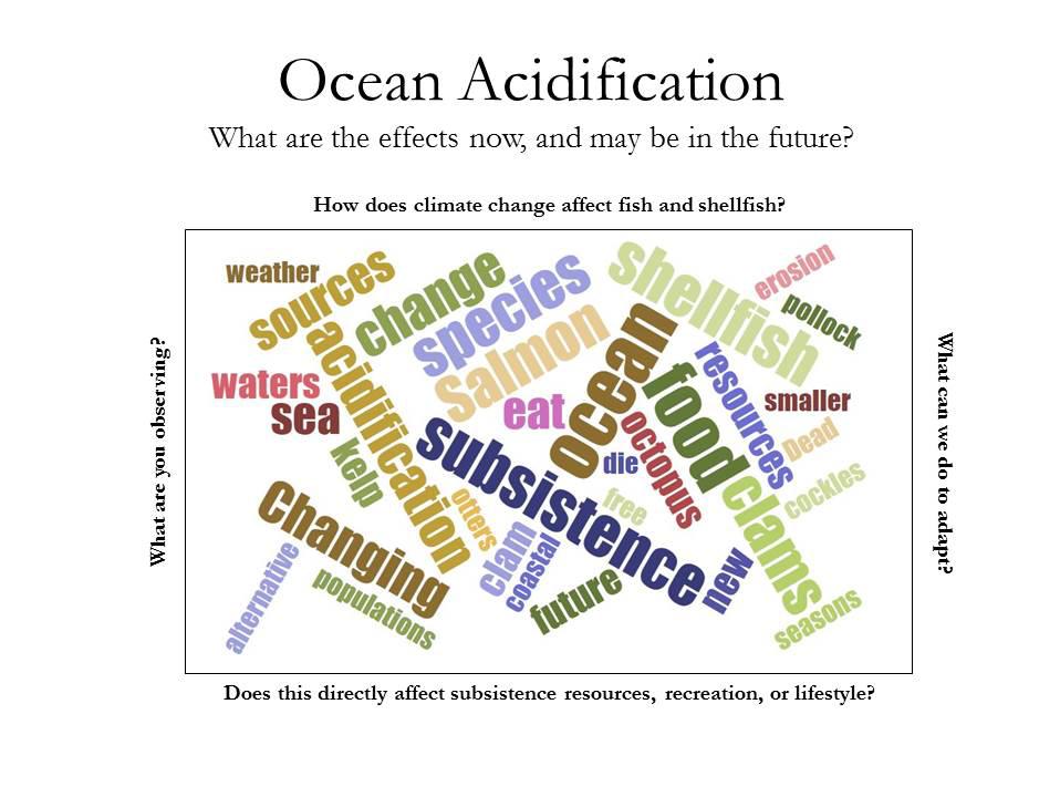Below are some comments during the break-out session to discuss Ocean Acidification: Ocean acidification affects fish and shellfish because it changes the ecosystems Ocean acidification could be