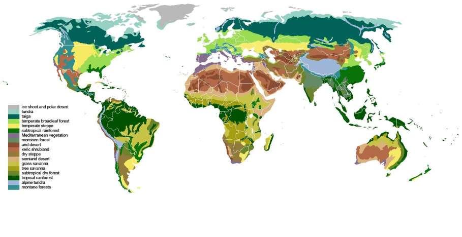 Lesson 5 World Map: Biomes http://commons.wikimedia.org/wiki/file%3abiomes.jpg By Vegetation-no-legend.svg: *Vegetation-no-legend.pt.