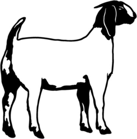 Animal Science Opportunities Do you want to show a goat, but have no goat to show? Giggling Goat Girl is offering goats for 4-H members, without goats, to show.
