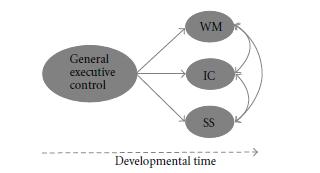 basic components Reactive before proactive control Extrinsic before intrinsic goals