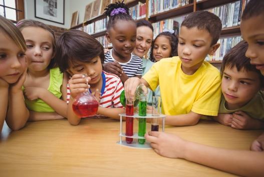 Elementary Introduction Students in kindergarten through fifth grade begin to develop an understanding of the four disciplinary core ideas: