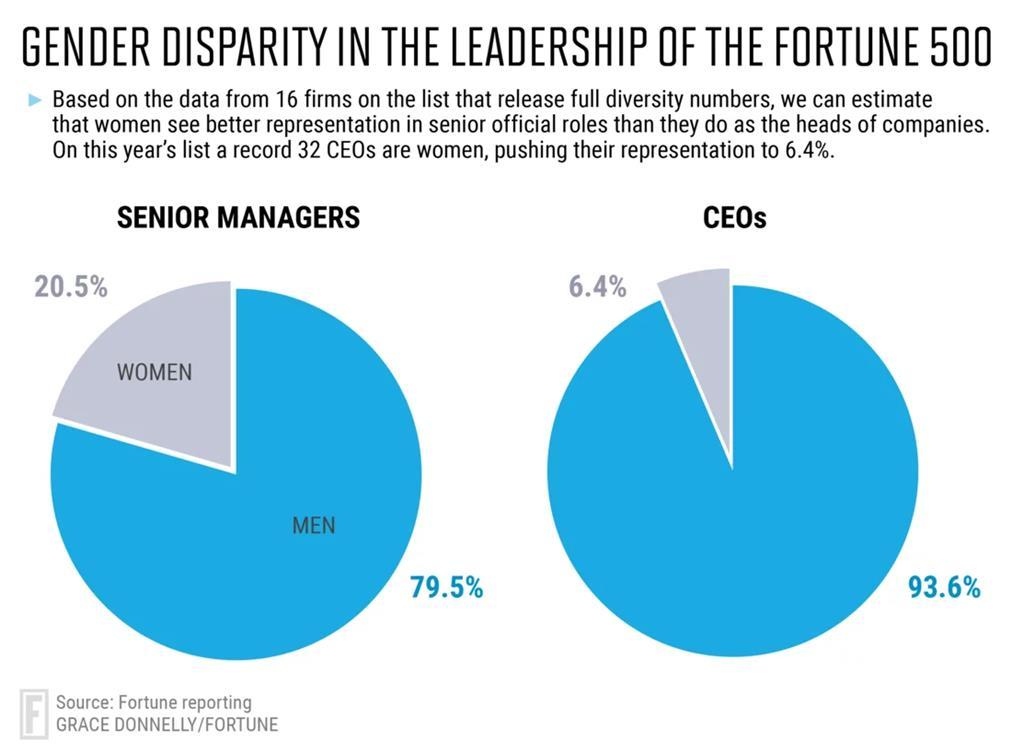 FORTUNE 500 COMPANIES In the Fortune 500 women make up : 17.4% of the Chief Information Technology Officers (CIO) 11.4% of Chief Financial Officers (CFO) 6.