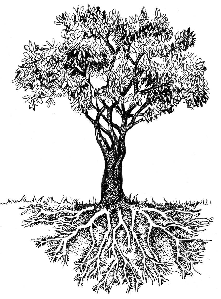 Trees & leaves Answer the questions in the trunk, roots and leaves to help identify issues, strengths, support, goals and solutions.