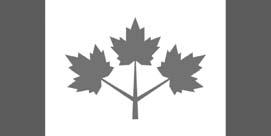 Lester Pearson was prime minister from 1963 to 1968. The Canadian government started looking at ideas for a new flag in 1925 and again in 1946. Then again in 1964. Hey, no rush.