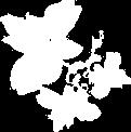 Club Med Sahoro Hokkaido, Japan - 4 nights package By Cathay Pacific - Quadruple Feb 17 14,005 9,480 5,100 5,100 14,868 9,998 5,100 5,100 15,730 10,523 5,100 5,100 20,013 13,080 5,100 5,100 Feb 18 -
