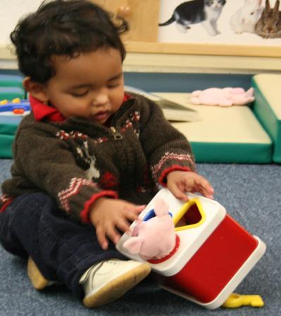 Infants and Toddlers Developing Knowledge About Infants appear to be naturally sensitive to number.