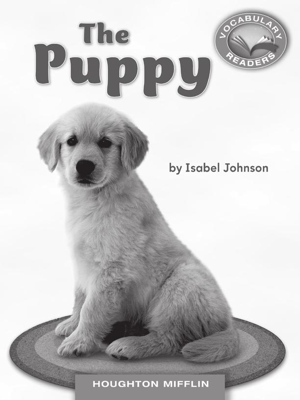LESSON 3 TEACHER S GUIDE by Isabel Johnson Fountas-Pinnell Level A Nonfiction Selection Summary Items important for puppy care are introduced.