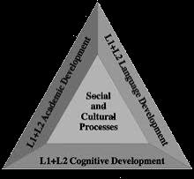 other hand, Cognitive Academic Language Proficiency (CALP), or the context-reduced language of academics, takes 5 to 7 years under ideal conditions to develop to a level commensurate with that of