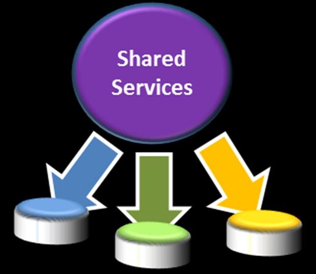 to differentiate the institution and contract with shared services for those activities that are homogeneous in nature and not likely to require a great deal of communication with local individuals