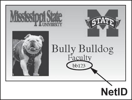 Determining Your NetID All Mississippi State University faculty, staff, and students have an electronic network identifier, the NetID.