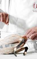 PRO LEVEL 2 Accelerate your culinary career by obtaining the Culinary Pro Level 2 Certificate.