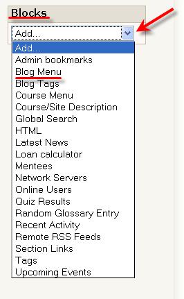 Click on the drop down menu that has Add at the beginning. Click on Blog Menu. When your screen refreshes a blog menu will appear.