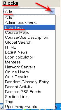 5. View site entries allow users to view blog postings from everyone with an account in Moodle, regardless of what course they are in. To add the Blog Tags option, turn editing on.