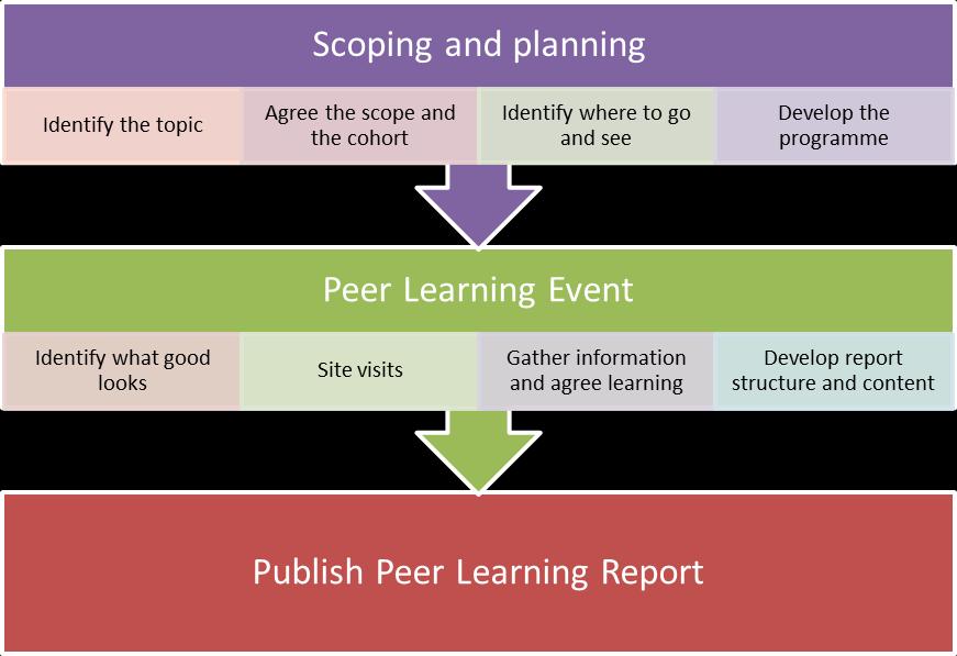 The Peer Learning process at a glance Scope Activities Initiated / agreed with Site visits/walkdowns demander, peer group and participating sites Project Organisational level as