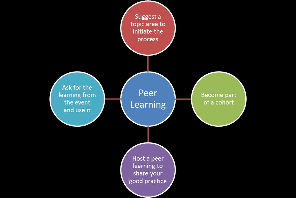 What will the output from the Peer Learning be?