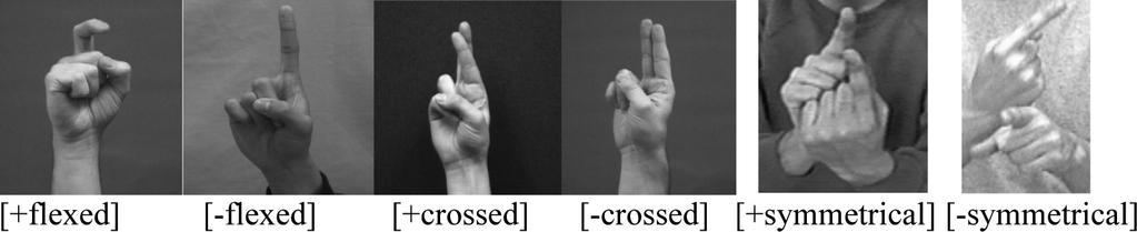 [-flexed] (Figure 5, left) distinction creates the minimal pair CANDY vs. APPLE for the same set of selected fingers; the [+crossed] vs. [-crossed] distinction creates the minimal pair -R- vs.