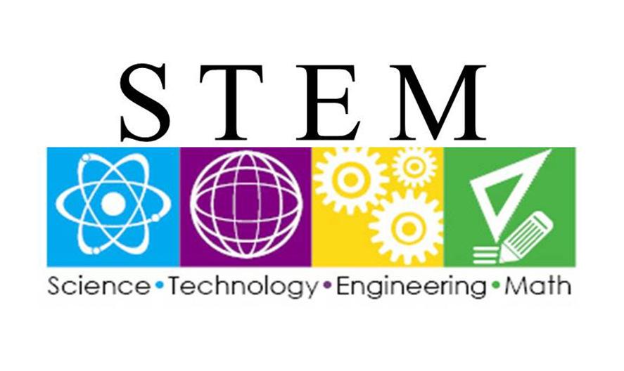 CURRICULUM ENRICHMENT STEM Enrichments for 2017 STEM module for