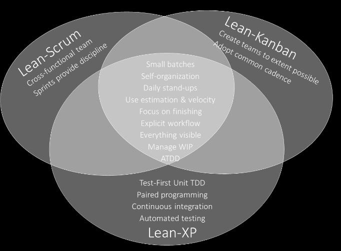 Whether you have iterations or are purely flow based How you start: By creating cross-functional teams and the roles of Product Owner and Team Agility Master (Lean-Scrum) or by starting where you are