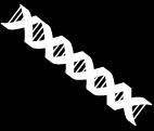 Standards Connection High School Content Standards for Life Science (Biology) Explore DNA as the blueprint for traits passed from parent to offspring: characteristics,