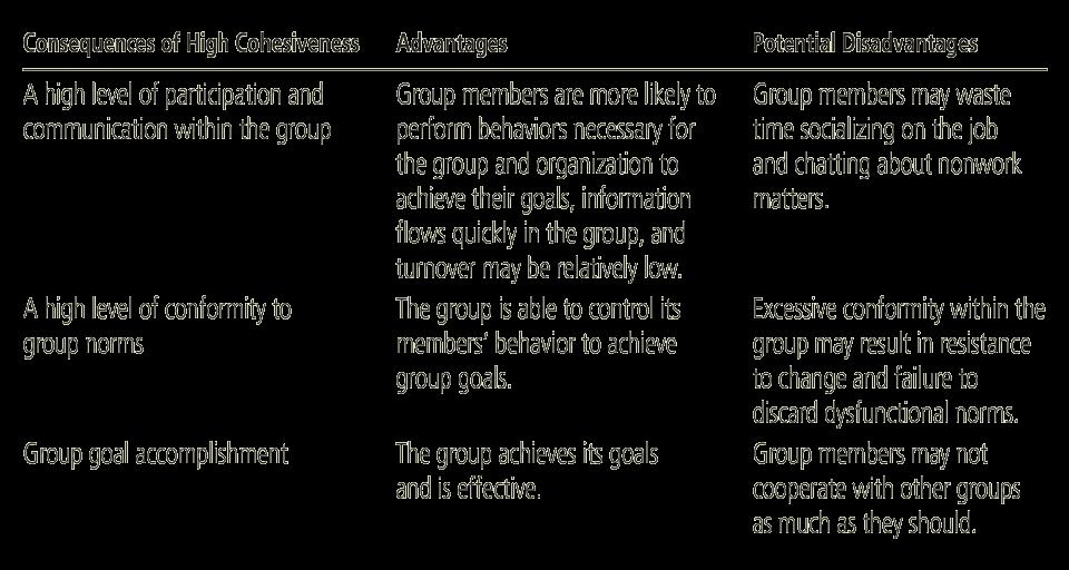 Consequences of High Cohesiveness When Group Goals