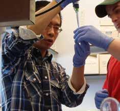 38% of students work with UVM scientists and scholars on research projects helping humankind.
