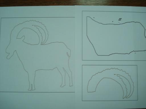 Educators can give the children some "cut and paste papers" and ask them to create an image about the animal/plant.