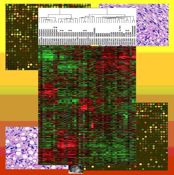 Protein folding Gene expression HIV/AID vaccines Machine