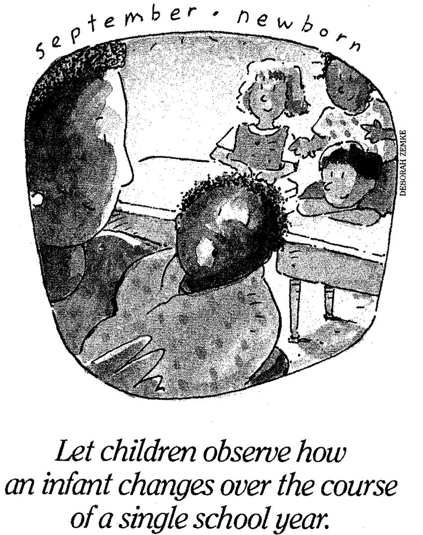 Oh, Baby, What a Science Lesson! By Catherine E. Matthews and Helen Cook Matthews, C., & Cook, H. (1996). Oh, Baby, What a Science Lesson! Science &Children, 33 (8), 18-21.