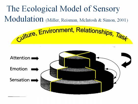 26 Figure 4: Miller, Reisman, McIntosh & Simon (2001) conducted research using five cohorts of children and measuring physiological responses to sensory input (skin conductance); behavioural measures