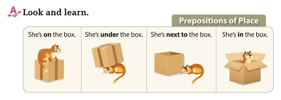 Unit 14 Prepositions of Place She is in the box. Prepositions of the place describe the position of something. We use them in front of a noun.