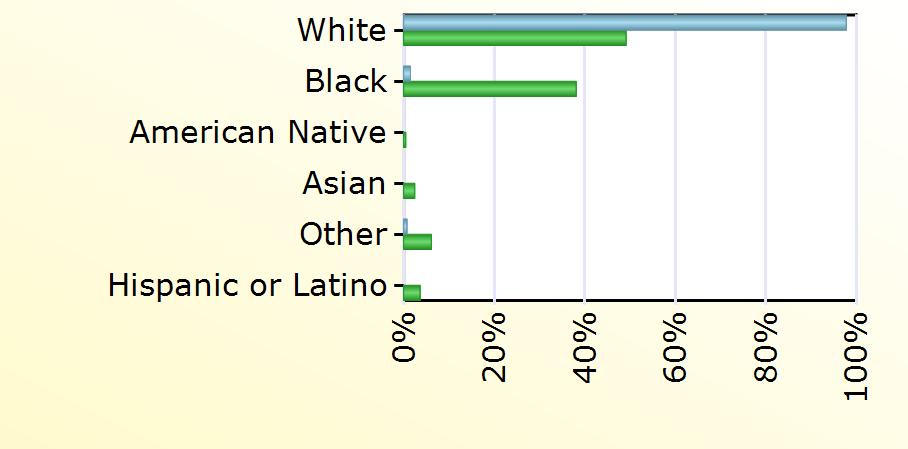 White 129 13,330 Black 2 10,339 American Native 130 Asian 667 Other 1 1,667 Hispanic or Latino 992 Age Smyth County