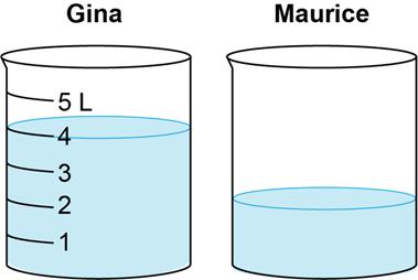 Grade 3 Mathematics Item Specifications Florida Standards Assessments Sample Item Gina and Maurice have same sized containers filled with different amounts of