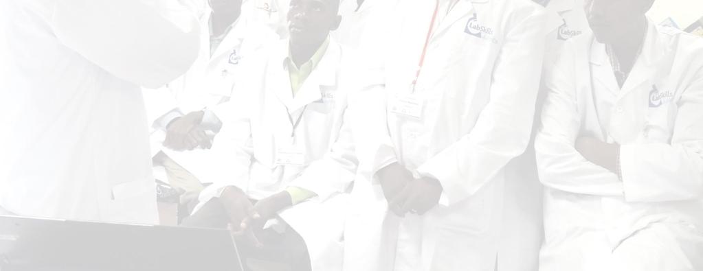 The project, LabSkills Africa, was a multilevel partnership with: the British Division of the International Academy of Pathology; the College of Pathologists of East, Central and Southern Africa; the