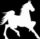 Please make sure you are signed up for Horse/Youth Leadership in 4H-online.