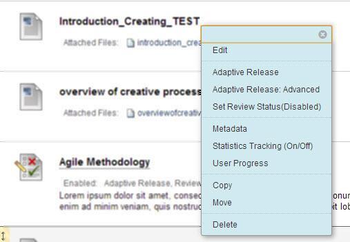 Managing Course Content (e.g., moving, copying) Posted content in your course has a chevron dropdown menu.