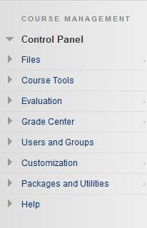 Button Choices Content Area is a place to upload files or create content, such as Course Documents or Course Information.