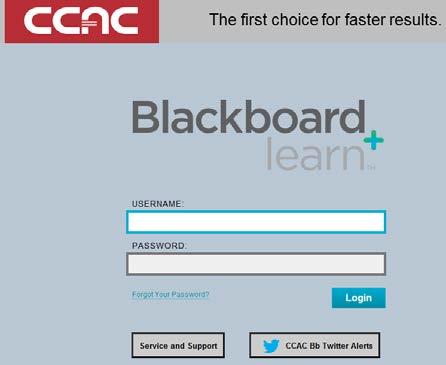 Stay Informed About Blackboard and Online Learning The Blackboard login page contains two important links for