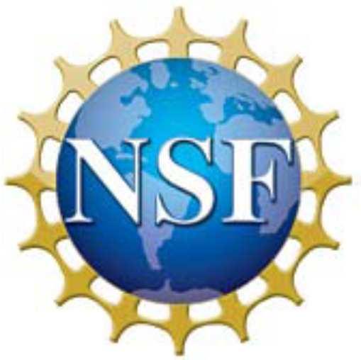 National Science Foundation Discovery