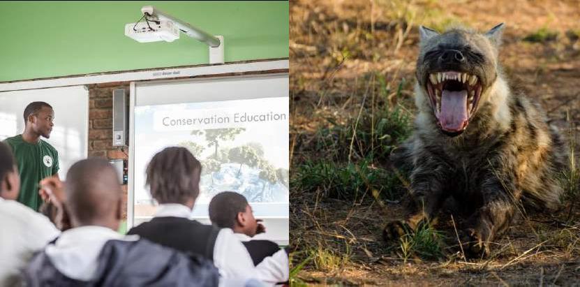 Working in primary and high schools you will help us teach conservation