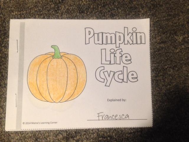 Life cycle of a pumpkin book Laminated cards of the life cycle of a pumpkin Pencils Colored Pencils Life cycle of a pumpkin book pages (minus sprout and without labels) Classroom stapler Reflection: