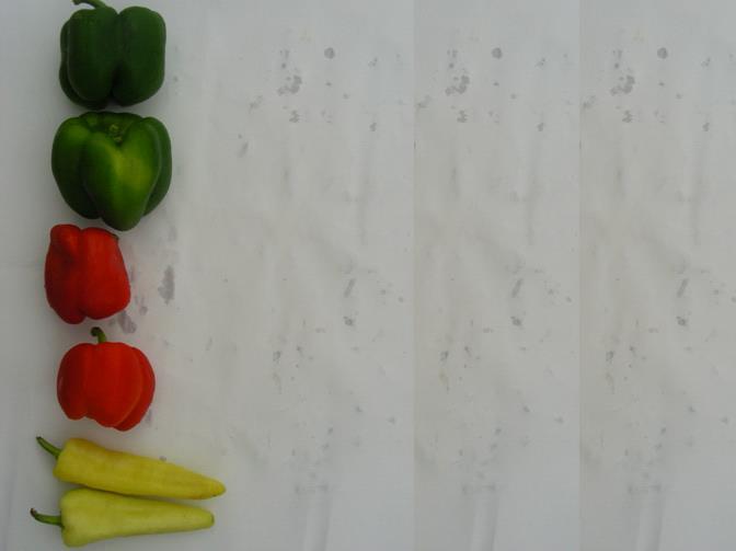 Features and labels ( 6, 4, 4.5) Green Pepper ( 7, 4.5, 5) Green Pepper (6, 3, 3.