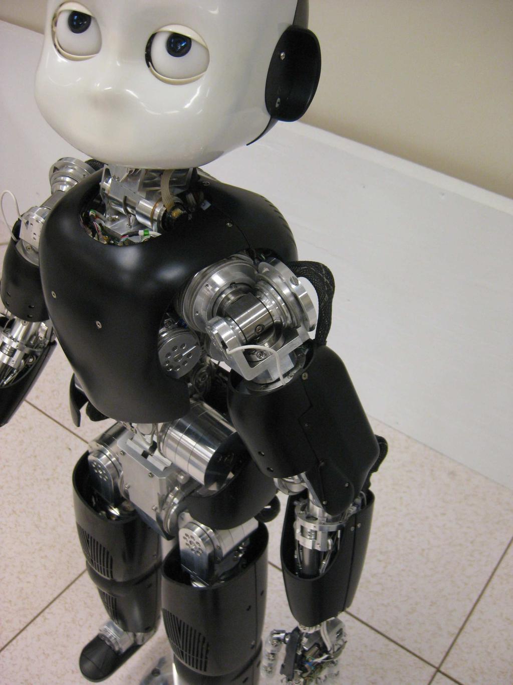 1 Integrating Language and Motor Function on a Humanoid Robot L. Majure, L. Niehaus, A. Duda, A. Silver, L. Wendt, S.