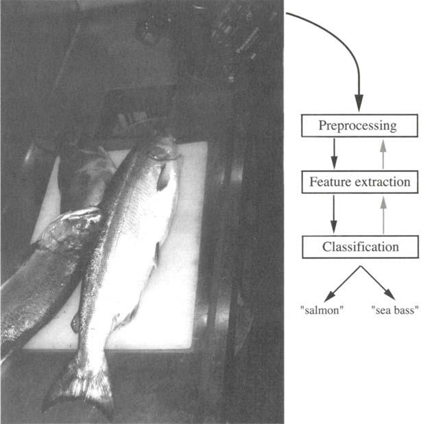 2 CHAPTER 1 INTRODUCTION MODEL PREPROCESSING SEGMENTATION FEATURE EXTRACTION variations in the images variations in lighting, position of the fish on the conveyor, even "static" due to the