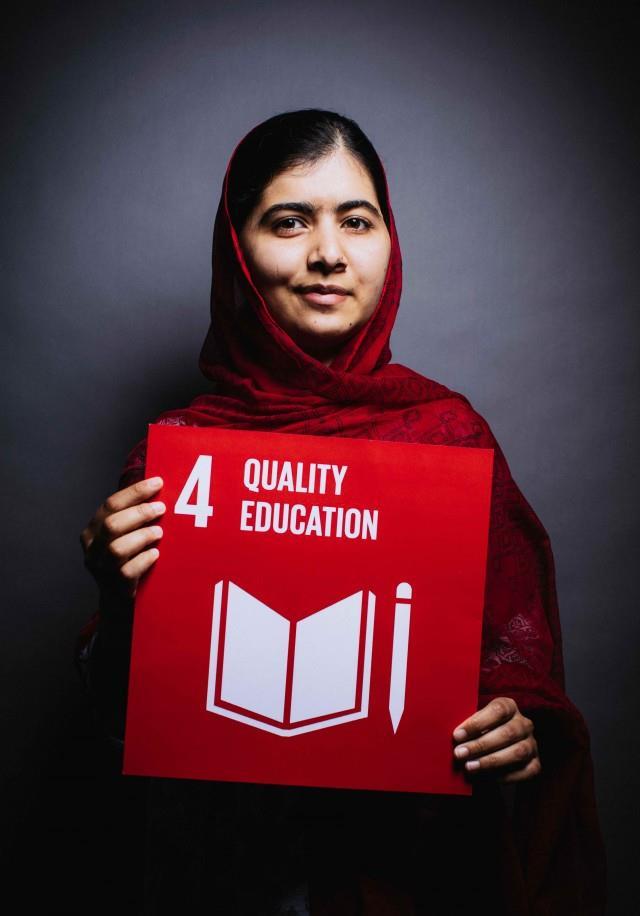 2.3 SDG4 and Target 4b Education 2030 / SDG4 is to ensure inclusive and equitable quality education and promote lifelong learning opportunities for all SDG Target 4b.
