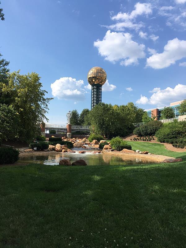 Knoxville has its own zoo as well as a big cat sanctuary nearby, making UT a