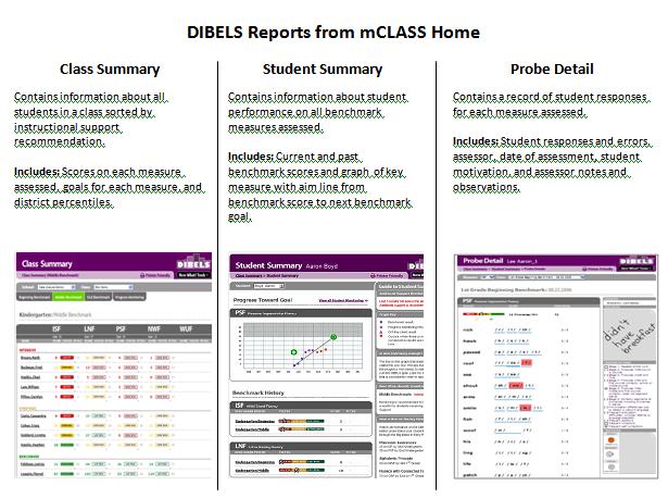 DIBELS Assessment Measures and Outcomes Contains information about all students in a class sorted by instruction supports recommendation.